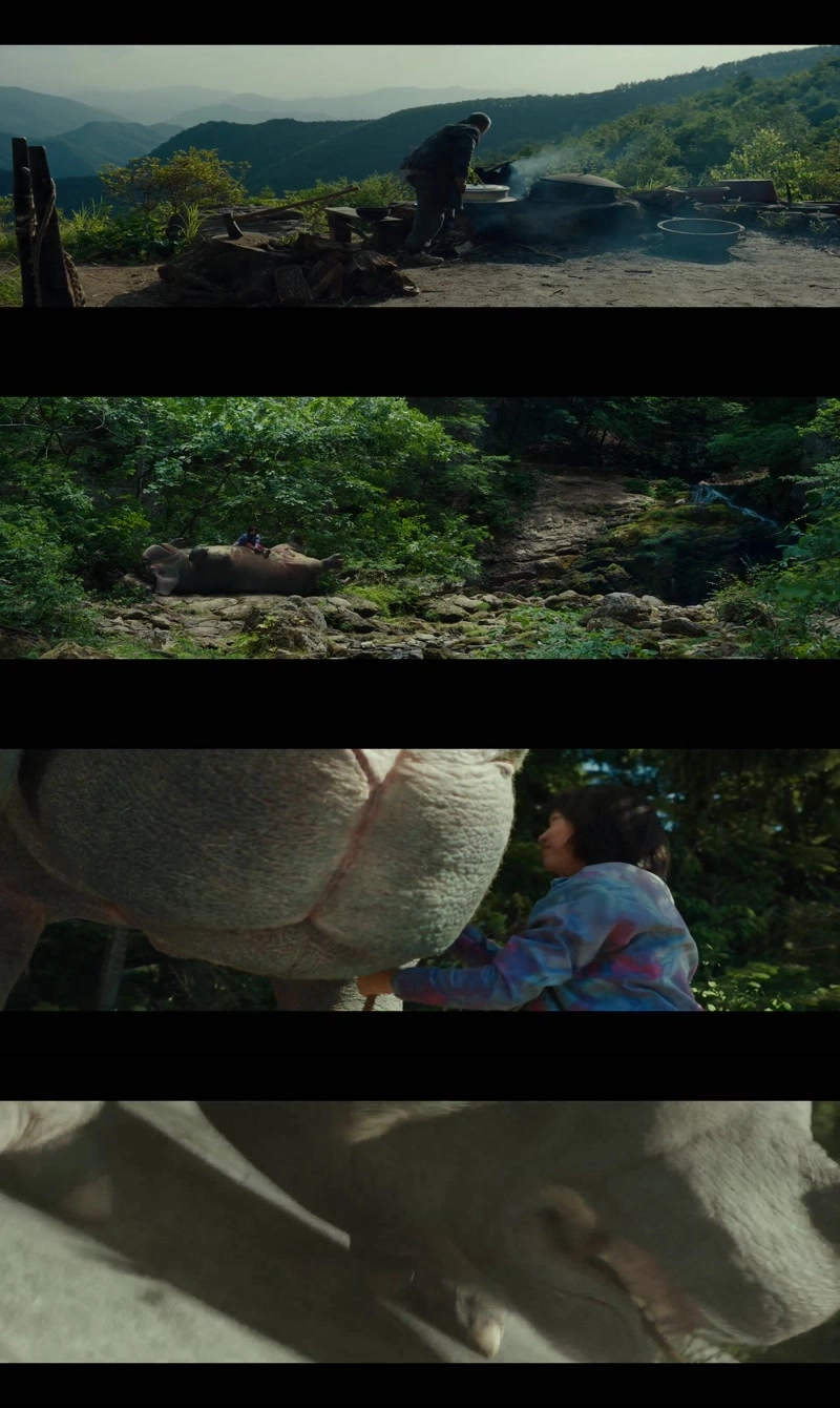 Okja.2017